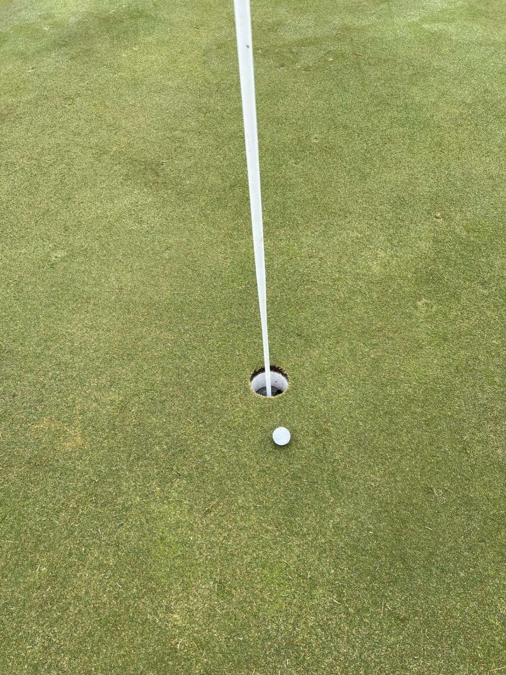 Swinging for Success: The Parallels Between Golfing and&nbsp;Sales